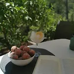 Kuzma Lejlighed Prigradica