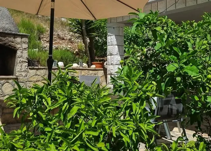 Kuzma Διαμέρισμα