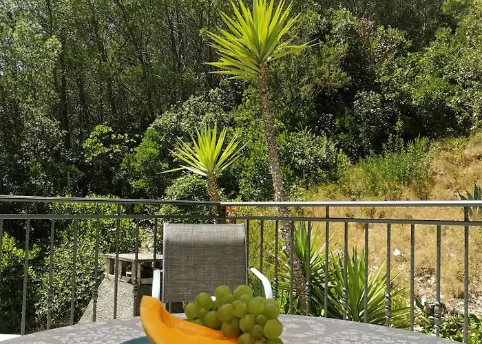 Διαμέρισμα Kuzma